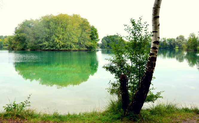 Waldschweigsee