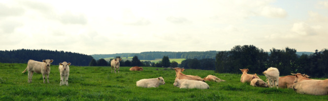 Klapprad & Yogamatte, Radtour, Bayern