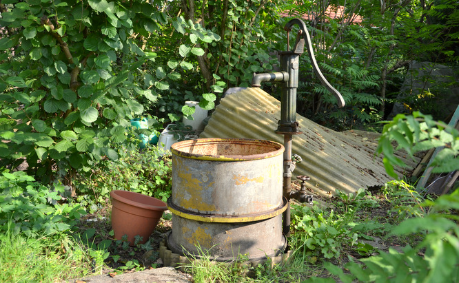 Klapprad & Yogamatte, Radtour, Hessen, Mörfelden, Tomaten, Garten